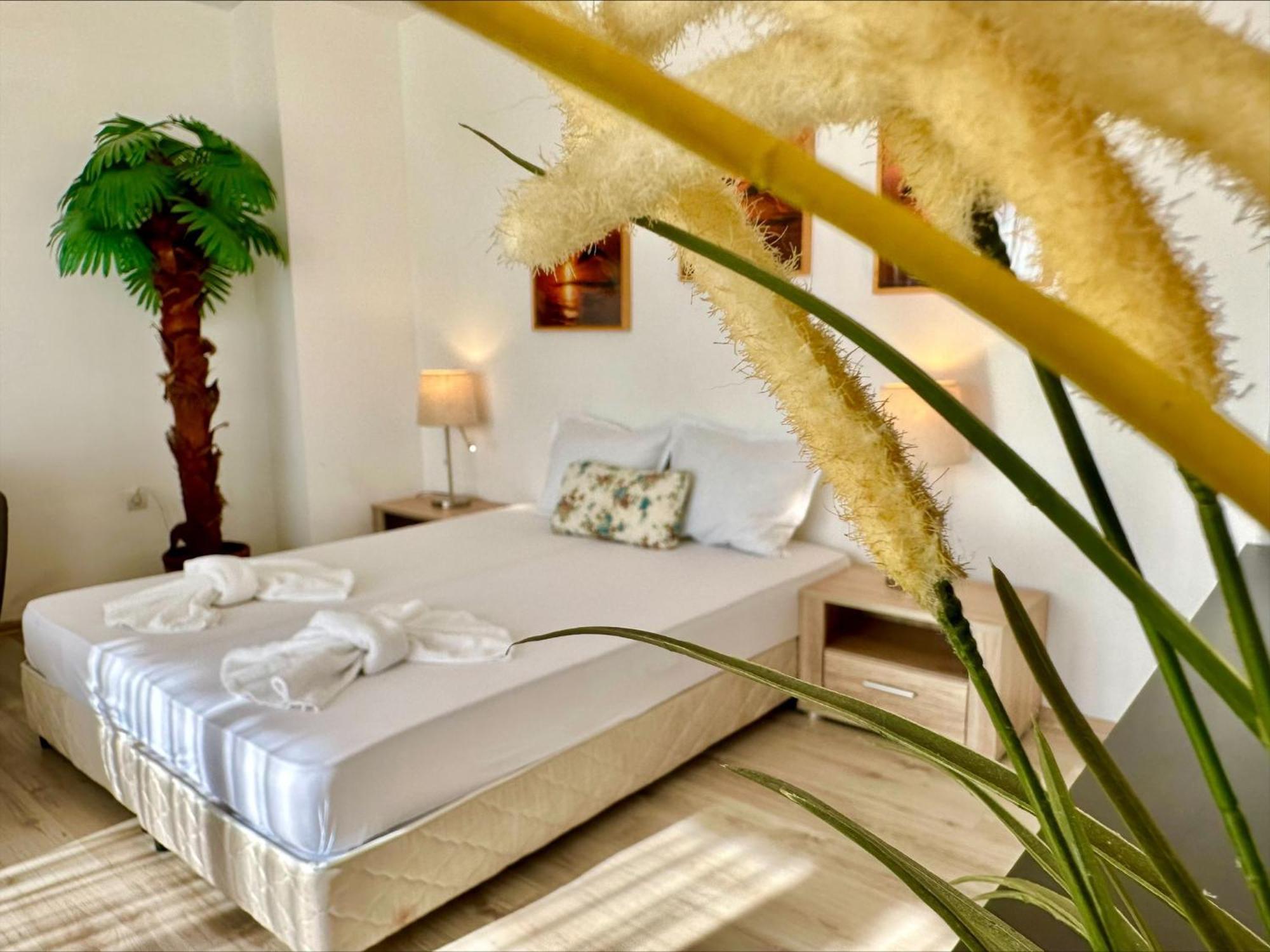 Menada Aheloy Apartments 객실 사진